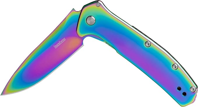 Kershaw Outcome Pocket Knife Silver 2.8 Inch Stainless Steel Drop Point Blade EDC with Assisted Opening Reversible Pocketclip Everyday Carry Pocket Knife for Men and Women