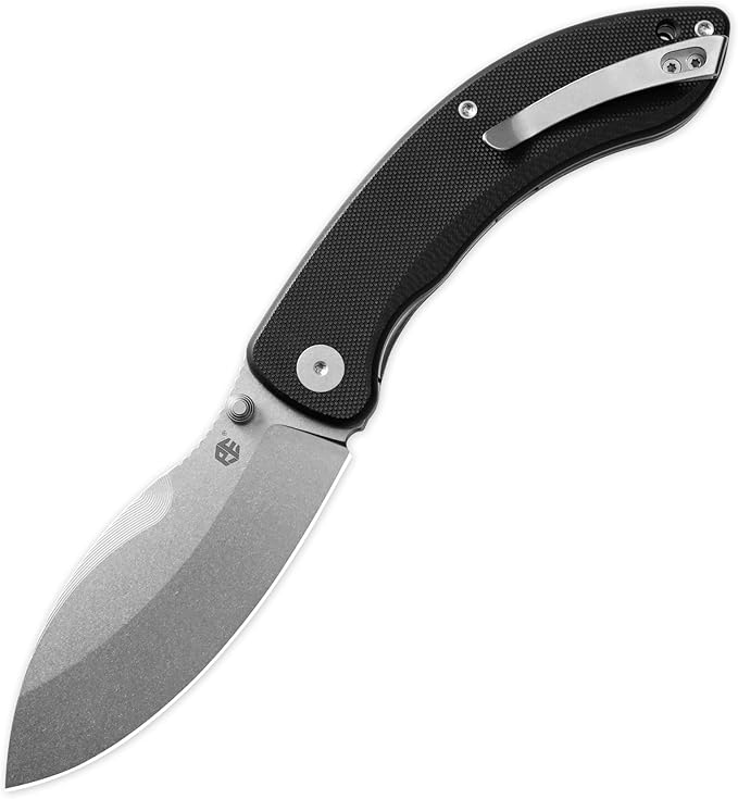 Petrified fish PFB06 Zonda Folding Knife3.74 14C28N Steel Stonewashed Blade G10 Handle Folding Pocket Knife for EDC Camping Outdoor (Black Stonewashed)
