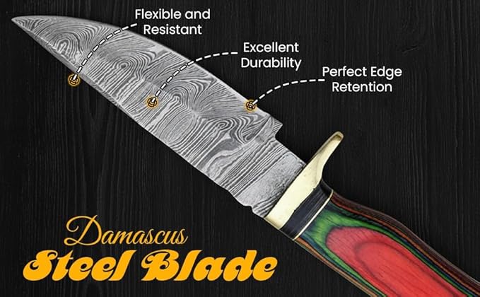 8-Inch Hand-Forged Damascus Steel Hunting Knife Fixed Blade Skinning Design with Leather Sheath Multicolor Wood Handle Brass Guard Twist Pattern Blade for Camping (Multi Color)