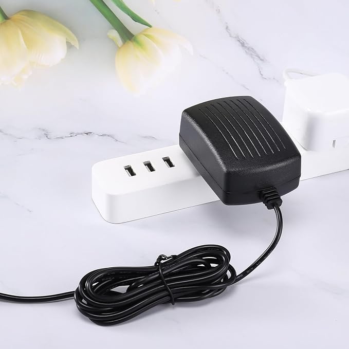 AC/DC Adapter Compatible with DenGaWa R200 250Wh Portable Power Station 67500mAh 250W 250 watts Lithium Battery Outdoors Camping Travel Emergency Power Supply Cord Charger Mains