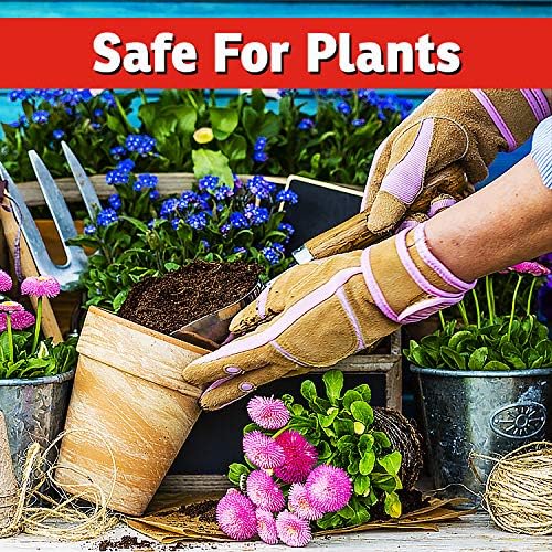 I Must Garden Rabbit Repellent - 32oz Concentrate [2 Pack] - Mint Scent Rabbit Spray for Gardens Plants and Lawns