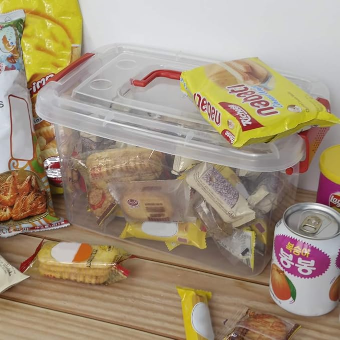 5 L Plastic Storage Bin with Lid Clear Transparent Box With Red Handles Set of 6