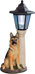Bits and Pieces - Solar Dog Lantern-Solar Powered Garden Lantern - Resin Dog Sculpture with LED Light (Shepherd) - 13.5