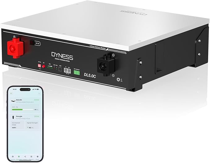 51.2V 100Ah LiFePO4 Battery with 5.12kWh Capacity Support Wi-Fi App Monitoring CAN/RS485 Communication 6000+ Cycles Max 5.12kW Power Perfect for Off-Grid Solar Backup Power