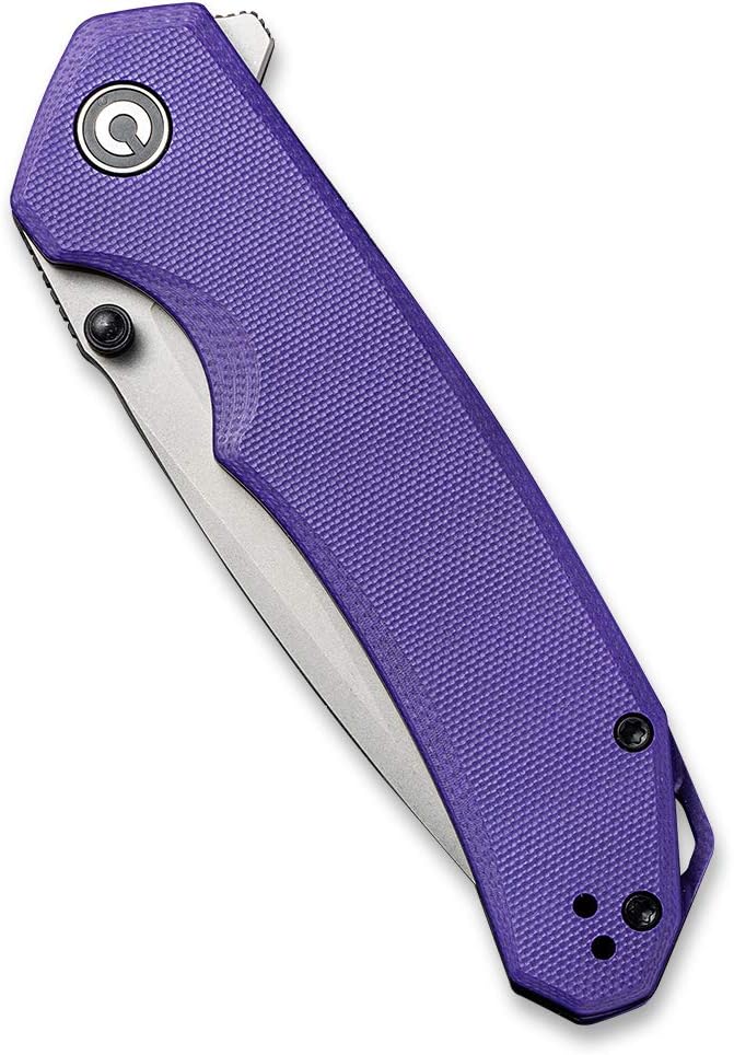 CIVIVI Brazen Folding Pocket Knife3.5-Inch Tanto D2 Plain BladeG-10 Outdoor Camping Hiking Knife with Thumb Studs and Flipper openerUnique Tool Gift for EDC Men Women C2023A (Purple)