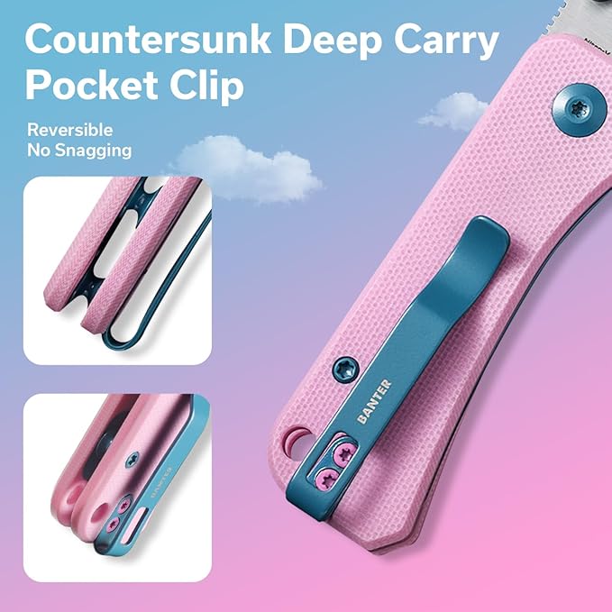 CIVIVI Small Pocket Knife for EDC Ben Petersen Folding Knife Baby Banter with 2.34 Nitro-V Blade G10 Handle Titanium Thumb Stud Opener C19068S-10