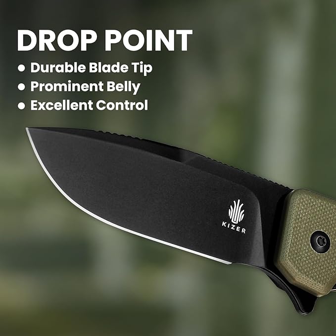 Kizer Nice Guy Folding Knife 2.84 Nitro V Blade Lightweight Camping and Hiking Knife G10 Handle Liner Lock Flipper V3011A1