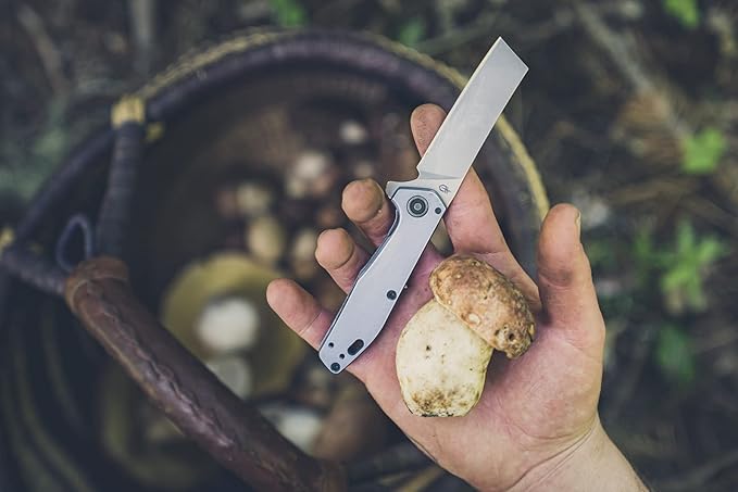Gerber Gear Fastball Cleaver - Durable Folding Knife with Lock - Premium EDC Gear - 3 - Made in USA - Coyote Brown