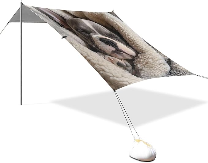 ALAZA French Bulldog Puppy Sleeping in A Soft Blanket Beach Tent Sun Shelter Portable Canopy Sunshade for Outdoor Camping Picnics Backyard Fun 10x9 ft