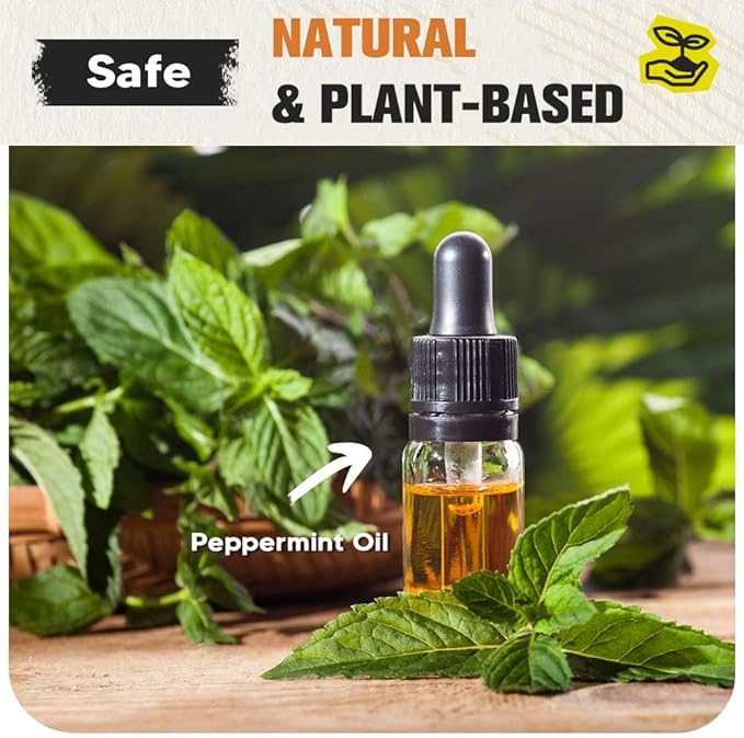 Pest Control Mouse Repellent Indoor Rodent Repellent Indoor/Outdoor Mice Repellent Indoors Natural Rat Repellent for House Keep Mice Roach Ant and Spider Away from Home Mouse Deterrents- 8P