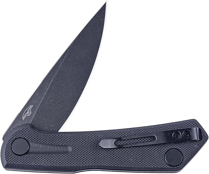 Real Steel VALORE liner lock flipper Pocket Knife - Nitro-V Steel ball bearing  G10 HandleTwo-Bolt Design Language of Poltergeist Works - Perfect for Camping Hiking EDC Cutting Tasks (Black G10/B