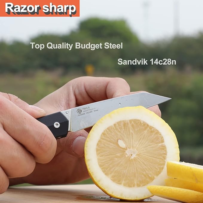 Ruike P865 EDC Camping Folding Pocket Knife14c28n SteelLiner LockG10 HandleBlet Clip