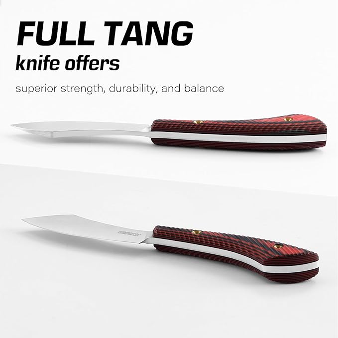 Dispatch Axis Lock Folding Knife with Small Fixed Blade Knife