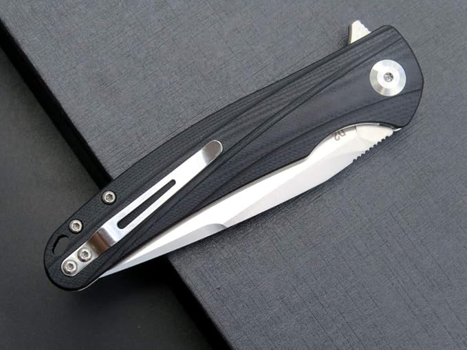 Eafengrow EF957 Folding Knife D2 Steel Blade G10 Handle with Pocket Clip Reliable Locking Mechanism EDC Flipper Knife for Camping Hiking(Black)