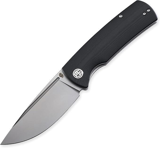 Petrified fish PFP01 k110 steel folding knife G10 handle Front flipper outdoor Camping survival hunting EDC tool knives (Black)