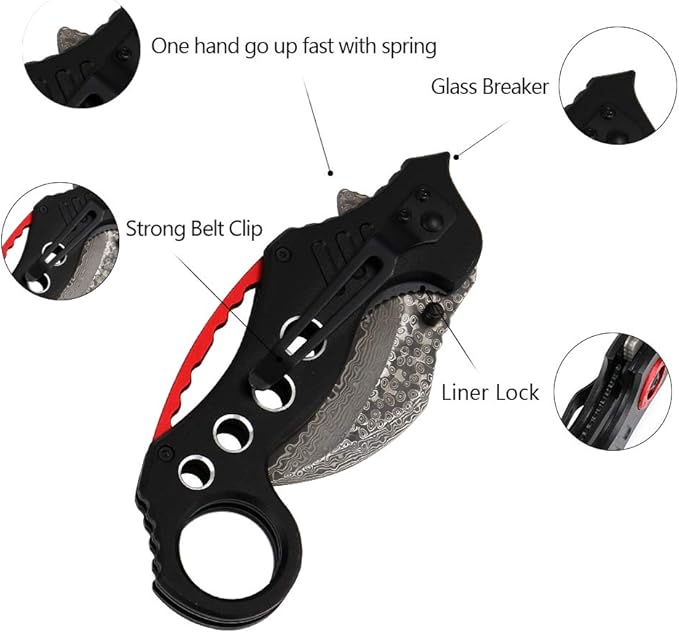 ALBATROSS EDC Cool Spring Assisted Folding Pocket Knives Tactical Sharp Raptor Claw Knife (Black/Damascus)