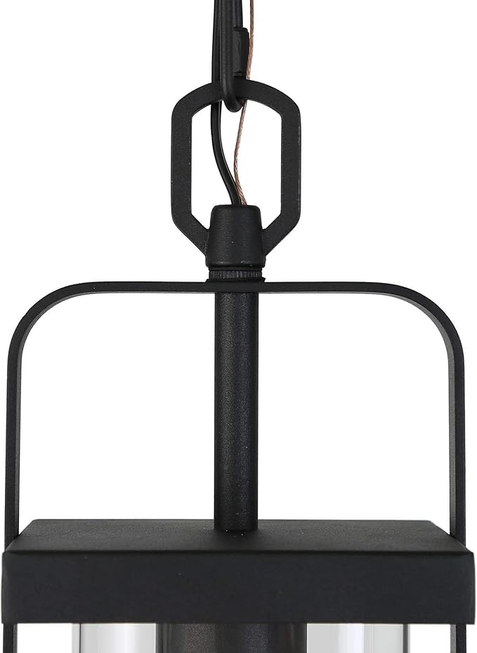 classy leaves Black Outdoor Pendant Lights Exterior Pendant Light with Clear Glass Porch Hanging Lantern Light Fixtures in Brushed Black Finish