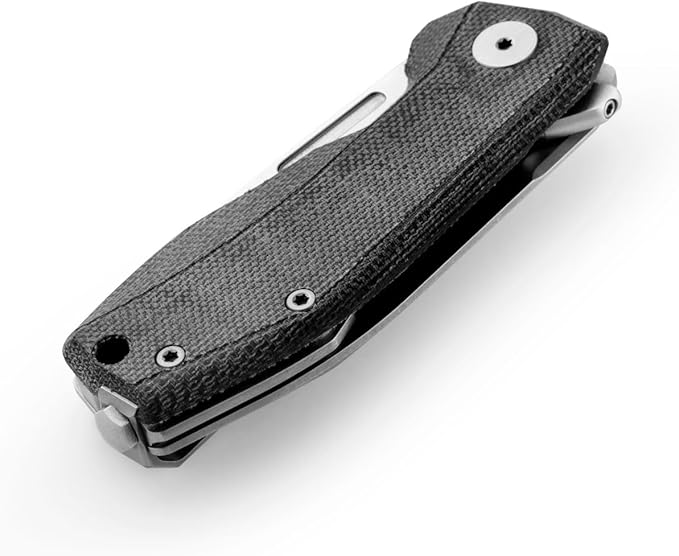 LionSTEEL NANO Titanium Frame Lock Folding Pocket Knife Magnacut Steel Blade Solid Handle Construction Drop Point Made in Italy (Black Micarta)