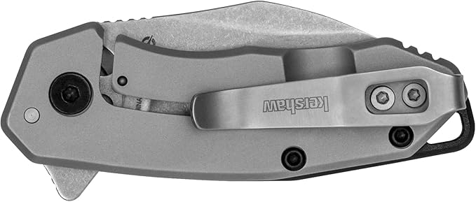 Kershaw Rate Folding Pocket Knife Small Everyday Carry Knife with Assisted Opening 8Cr13MoV Stainless Steel Blade Pocketclip and Lanyard HoleGrey