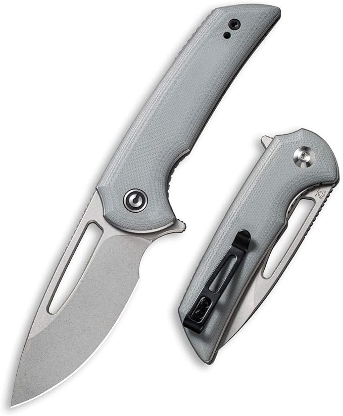 CIVIVI Odium Small Folding Knife –2.65 Stonewashed D2 blade G10 Handle Ball Bearings Pivot Flipper Opening Knife with Reversible Deep Carry Clip C2010A (Gray)