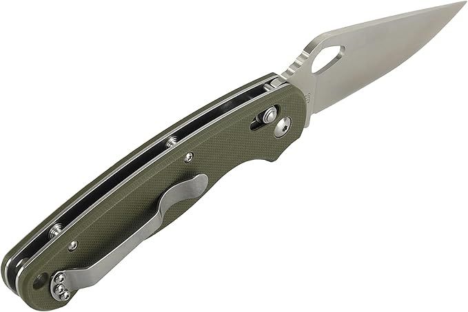 Ganzo G729-GR Folding Pocket Knife 440C Stainless Steel Blade Ergonomic G10 Non-Slip Handle with Clip Hunting Fishing Camping Folder Axis Lock Outdoor EDC Knife (Green)