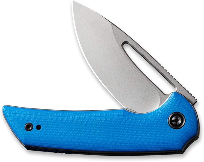 CIVIVI Odium Small Folding Knife –2.65 Stonewashed D2 blade G10 Handle Ball Bearings Pivot Flipper Opening Knife with Reversible Deep Carry Clip C2010C (Blue)
