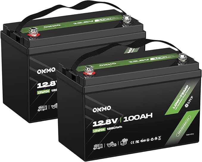 OKMO 12V 100Ah LiFePO4 Battery(2 Pack) Lithium Battery 100A BMS 10 Years Lifetime 15000+ Deep Cyclesfor Marine RV Trolling Motor Boat Camper Solar Home Iron Phosphate