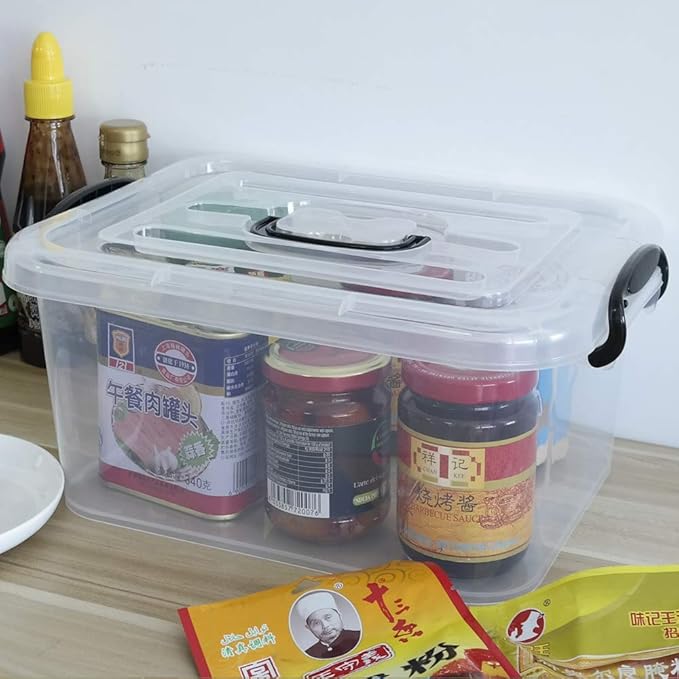 8 Liter Plastic Storage Box 2-Pack Clear Storage Bins with Handles