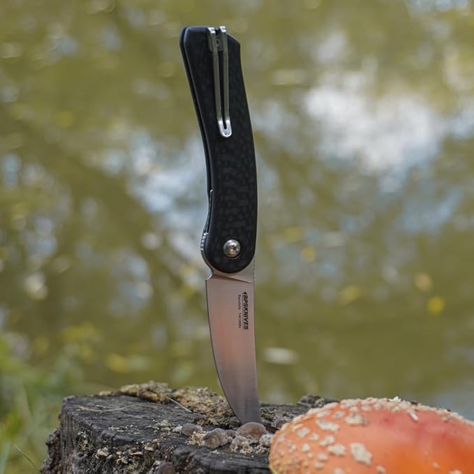 BPSKNIVES Colibri - Black Folding Knife 14C28N Stainless Steel Blade with G10 Handle - Small EDC Knife with Pocket Clip for Men - Sharp EDC Knife