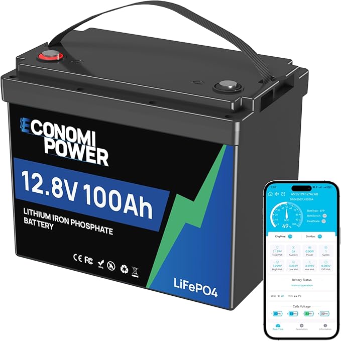 12V 100Ah LiFePO4 Lithium Battery - Built-in 100A BMS Group 24 Deep Cycle Battery for RV SolarOff-Grid &amp Trolling Motor 15000+ Cycles 10-Year Lifespan