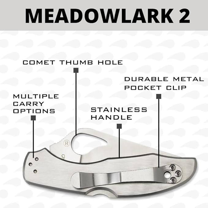 Spyderco Byrd Meadowlark 2 Knife with 2.90 Steel Blade and Durable Stainless Steel Handle - CombinationEdge - BY04PS2