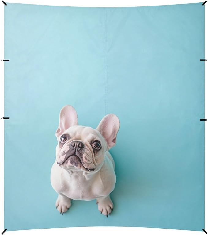 ALAZA Top View of French Bulldog Beach Tent Sun Shelter Portable Canopy Sunshade for Outdoor Camping Picnics Backyard Fun 10x9 ft