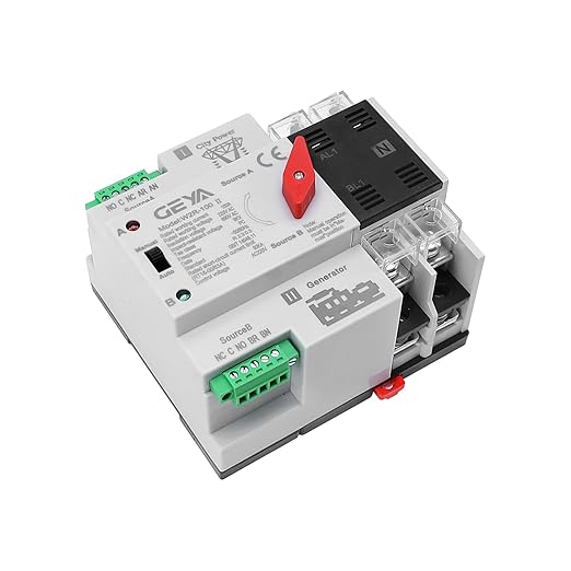 Mini ATS Automatic Transfer Switch Dual Power Switch Din Rail Type (W2R 2P 100A AC220V)