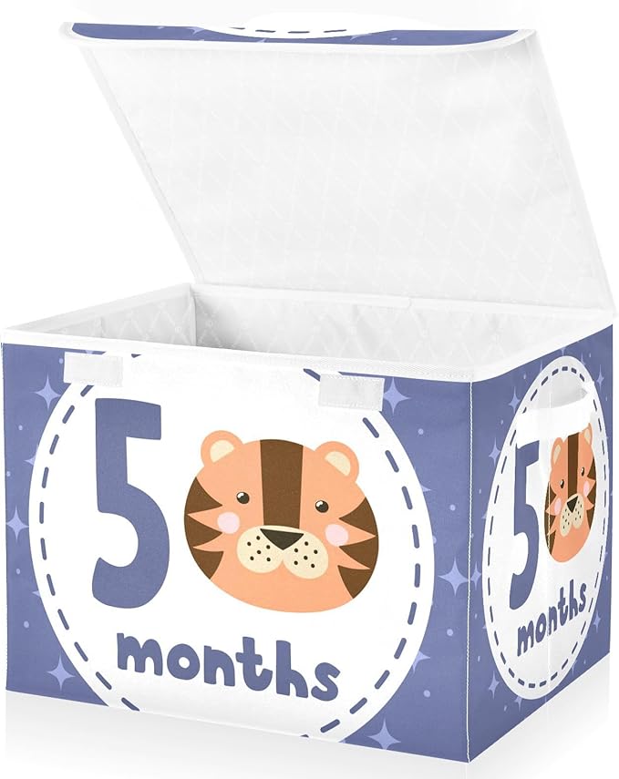5_months Storage Box with Lid Collapsible Cube Storage Shoe Boxes with Lids for Dorm Room Dormroom Storage