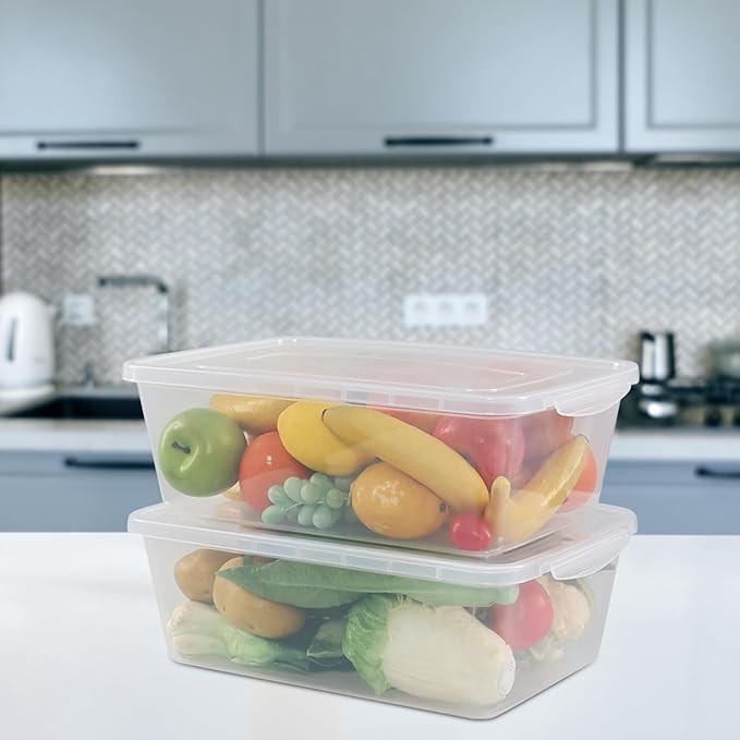 2-Pack 16 Quart Plastic Storage Box Bin with Lid Clear Latching Storage Bin