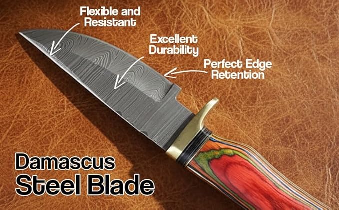 8-Inch Hand-Forged Damascus Steel Hunting Knife Fixed Blade Skinning Design with Leather Sheath Multicolor Wood Handle Brass Guard Twist Pattern Blade for Camping (Red/Green)