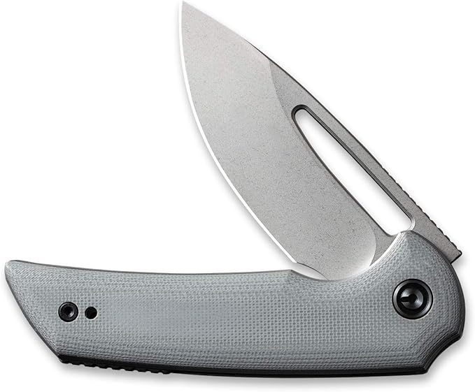 CIVIVI Odium Small Folding Knife –2.65 Stonewashed D2 blade G10 Handle Ball Bearings Pivot Flipper Opening Knife with Reversible Deep Carry Clip C2010A (Gray)