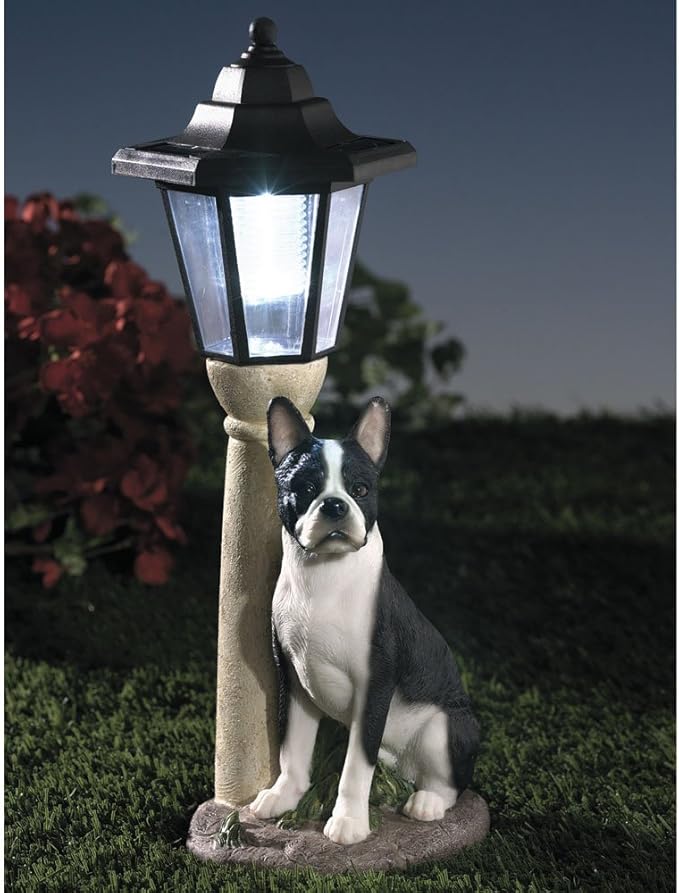 Bits and Pieces - Solar Dog Lantern-Solar Powered Garden Lantern - Resin Dog Sculpture with LED Light (Boston Terrier) - 13.5 Tall