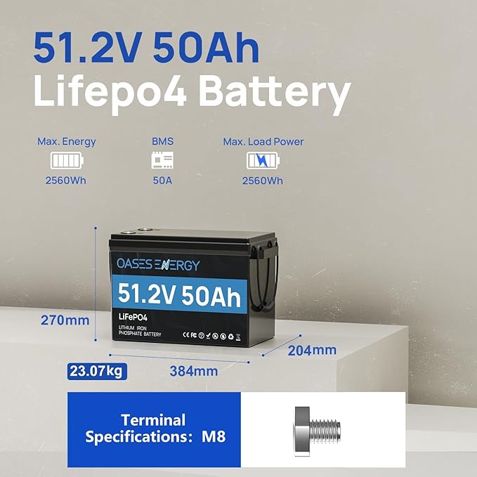 48V 50Ah LiFePO4 Lithium Battery Mini with Bluetooth 100A BMS Deep Cycles 48V LiFePO4 Battery 2560Wh Energy for Off-Grid Solar RV Camper Marine Boats