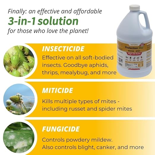 Environmental Plant Management Protection Plus Ready To Use | Oil-Free Contact Insecticide for Plants | Kill Aphids Whiteflies Spider Mites &amp Other Soft-Bodied Pests | Natural | Indoor &amp Out