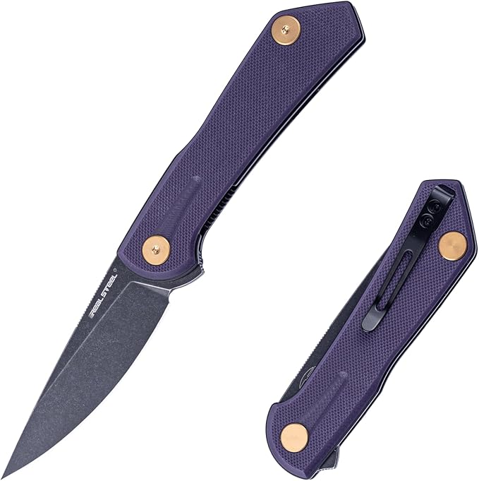 Real Steel VALORE liner lock flipper Pocket Knife - Nitro-V Steel ball bearing  G10 HandleTwo-Bolt Design Language of Poltergeist Works - Perfect for Camping Hiking EDC Cutting Tasks (Pruple G10/