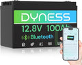12V 100Ah Bluetooth LiFePO4 Battery Deep Cycle Group 31 Lithium RV Batteries Built-in 100A BMS with Low-Temp Protection 12.8 Volt Lithium Battery for Rv Camping Home Solar System Off-Grid
