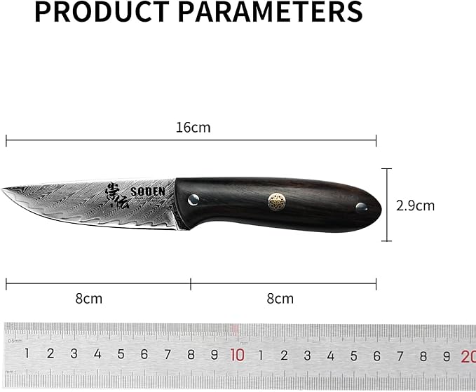 SODEN Damascus Camping Knife VG-10 Core Full Tang Fixed Blade for Survival &amp Outdoor Hunting | Ergonomic Rosewood Handle | Premium Knife Tool