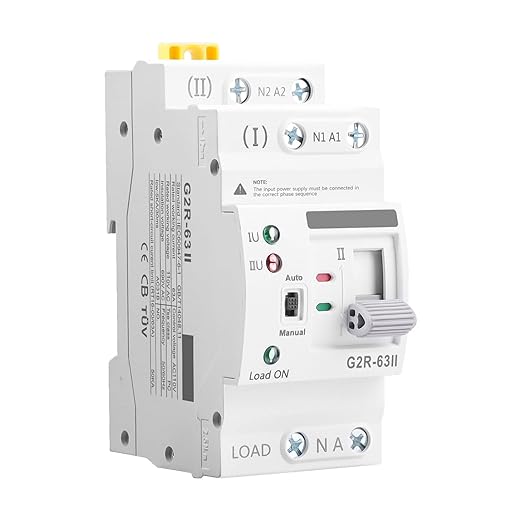 Mini ATS AC Automatic/Manual Transfer Switch 2P 63A 110V ATS Manual Transfer for Uninterruptible Power Supply Home Dual Auto Power Electrical Selector Switch DIN Rail Mount（G2R 2P 63A AC110V）