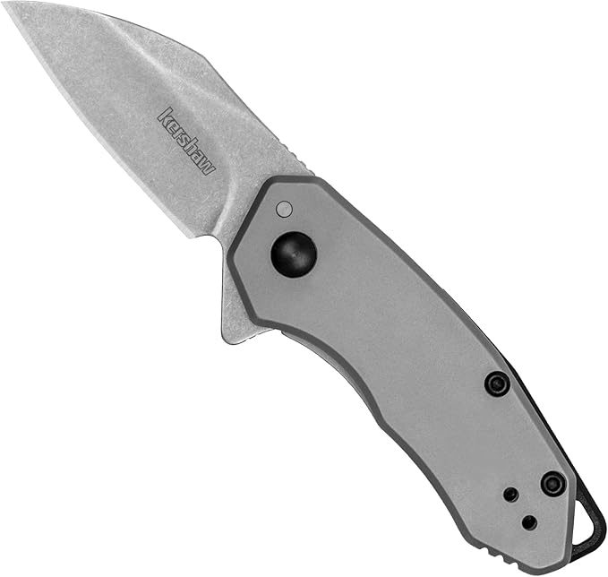 Kershaw Rate Folding Pocket Knife Small Everyday Carry Knife with Assisted Opening 8Cr13MoV Stainless Steel Blade Pocketclip and Lanyard HoleGrey
