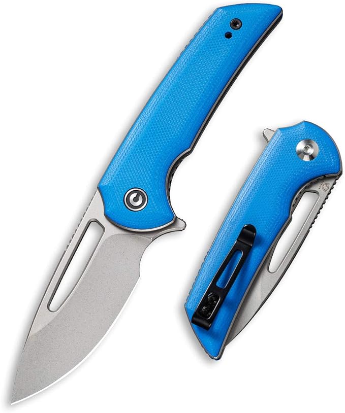 CIVIVI Odium Small Folding Knife –2.65 Stonewashed D2 blade G10 Handle Ball Bearings Pivot Flipper Opening Knife with Reversible Deep Carry Clip C2010C (Blue)