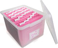 Kid's Craft Memory Keepsake Organizer Box - Clear Storage Latching Bin with Hanging File Folders and Custom Tab Inserts (Pink)