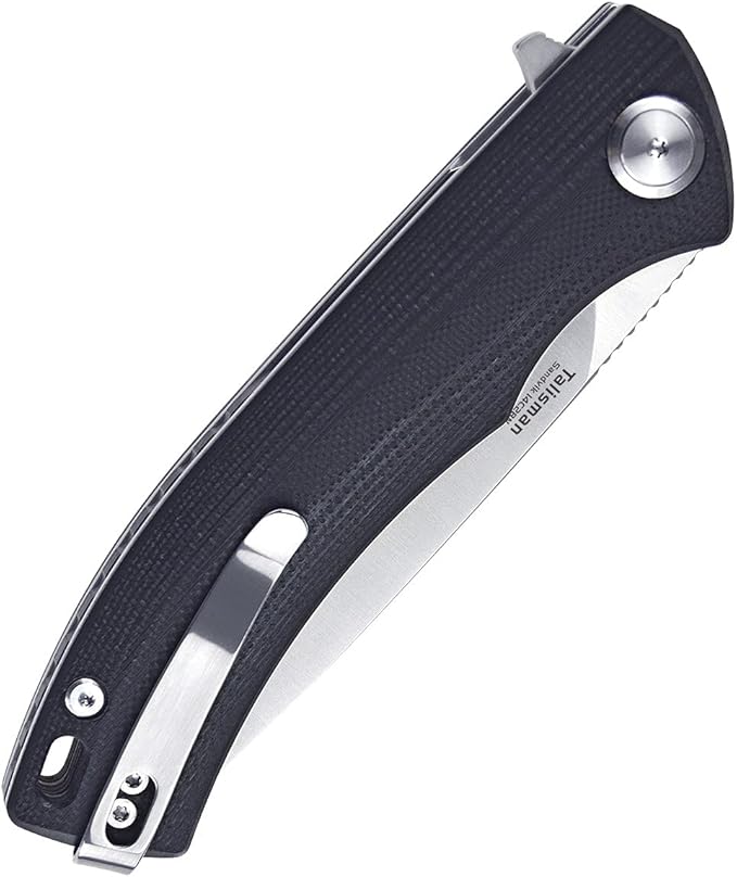 Harnds Talisman CK9168 Pocket Knife with Ball Bearing Pivot System Folding Knife with G10 Handle Pocketclip (black handle)