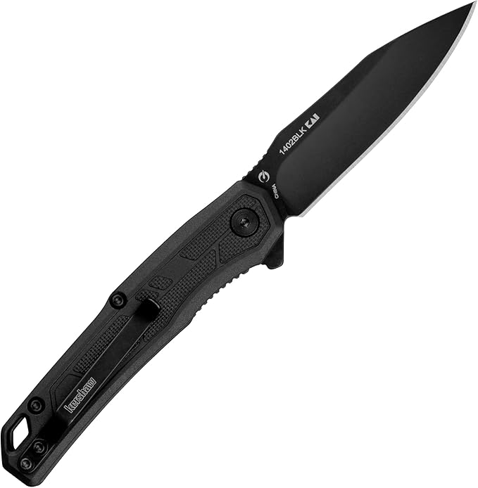 Kershaw Leek Black EDC Pocketknife 3 Sandvik 14C28N Steel Blade Assisted Opening Folding Knife