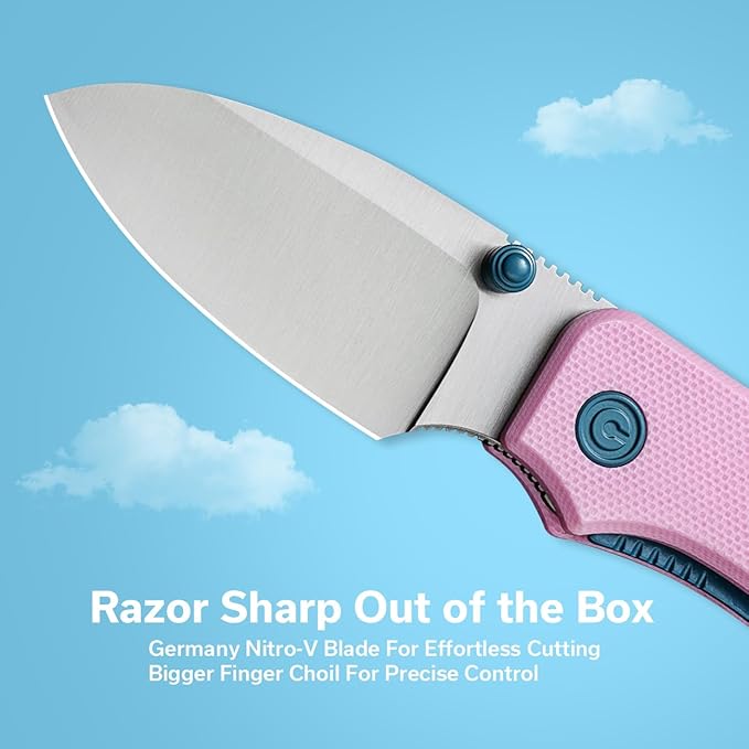 CIVIVI Small Pocket Knife for EDC Ben Petersen Folding Knife Baby Banter with 2.34 Nitro-V Blade G10 Handle Titanium Thumb Stud Opener C19068S-10